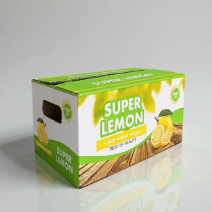 e5981a75-8489-4278-9d1e-6e278b2554a4